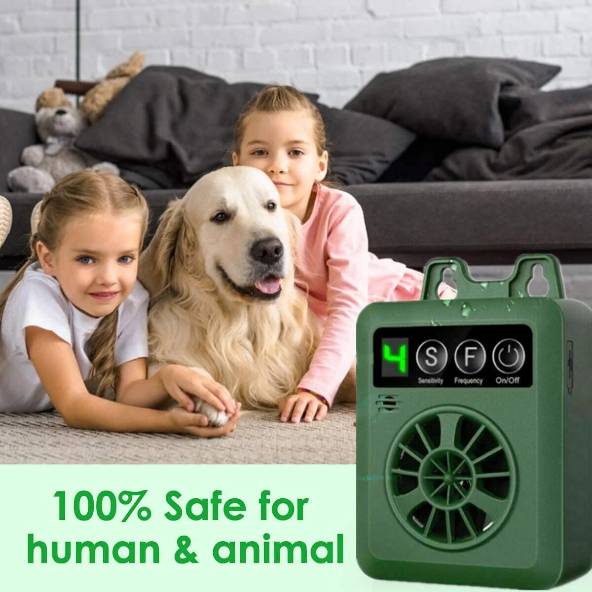Anti-Bellgert für Hunde