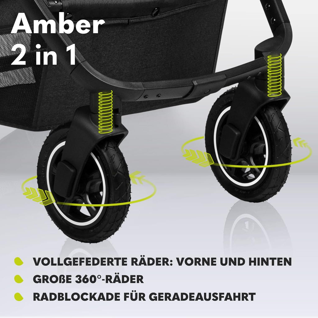 LIONELO Amber Kinderwagen 2 in 1 Kombikinderwagen, Kinderwagen Set mit sportlichen Sitz und fester Babywanne, Tasche, Moskitonetz, Abdeckung Regenblatt (Graphit)