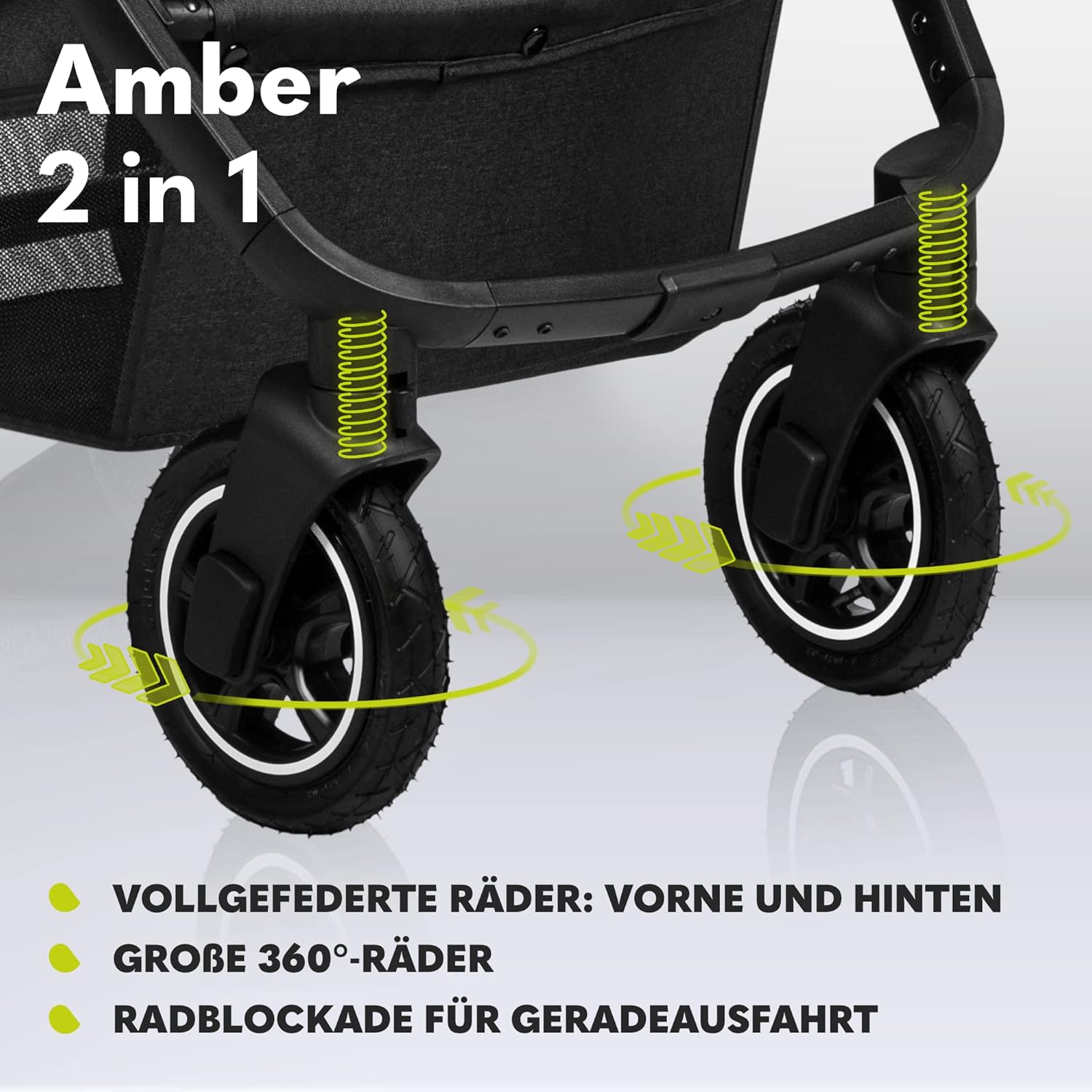 LIONELO Amber Kinderwagen 2 in 1 Kombikinderwagen, Kinderwagen Set mit sportlichen Sitz und fester Babywanne, Tasche, Moskitonetz, Abdeckung Regenblatt (Graphit)