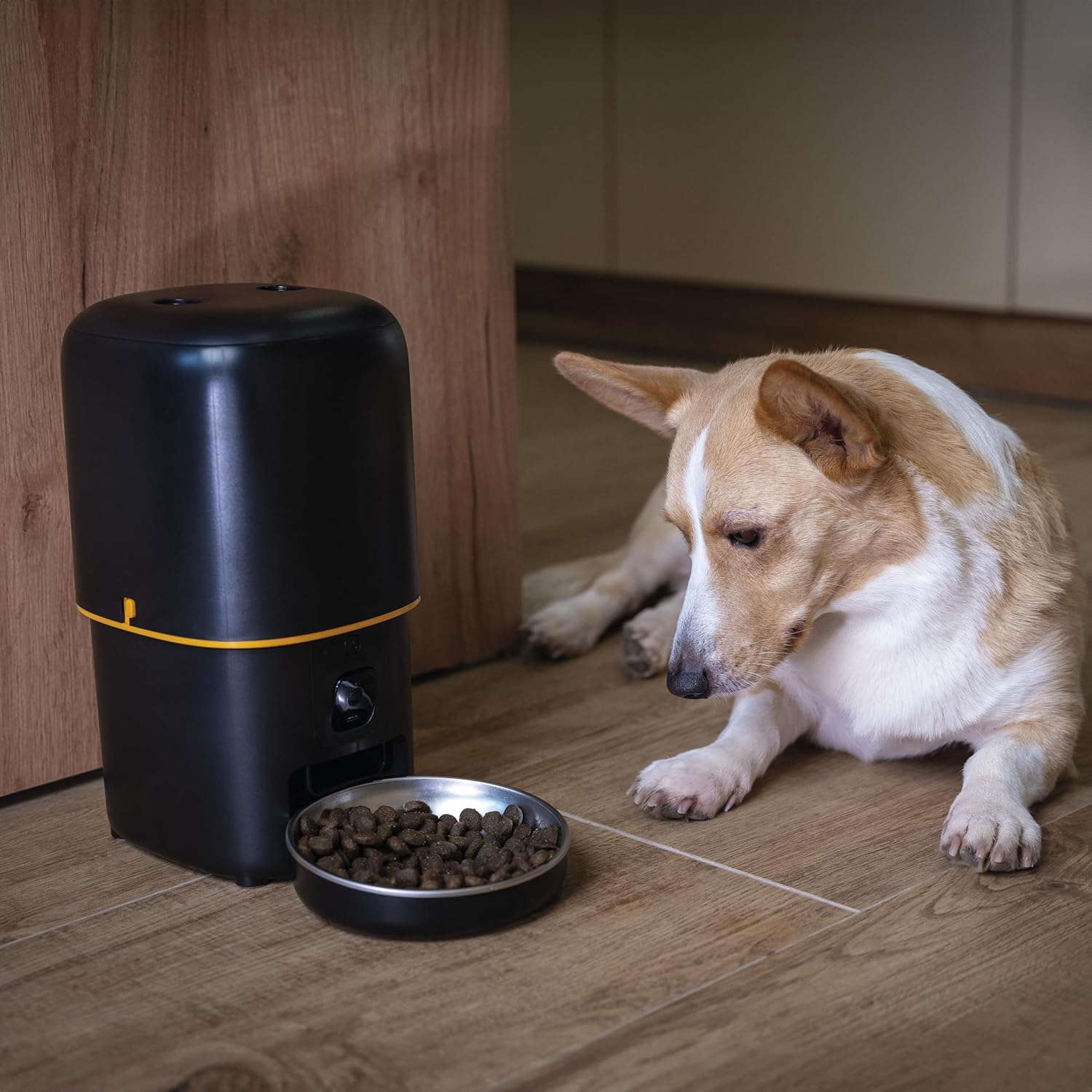 EMOS - GoSmart Futterautomat 6 l mit Kamera - WLAN Pet Care Futterspender mit App - Trockenfutter Automat für Katze & Hund mit Zeitplan, Sprachaufzeichnung, Dosierung 1–12 Mahlzeiten pro Tag - Schwarz