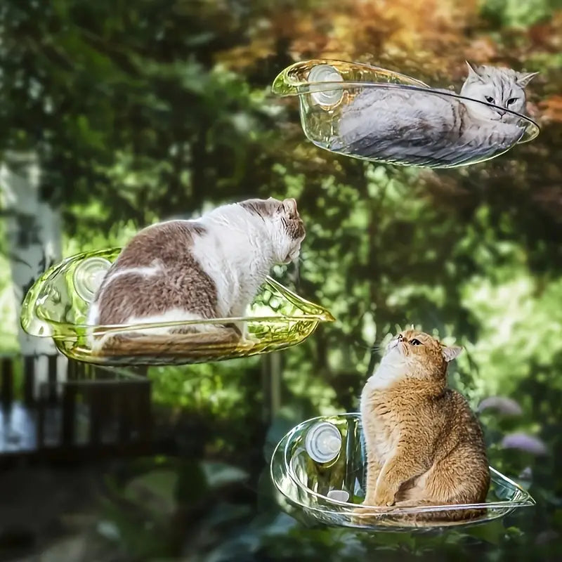 Fensterliege für Katzen