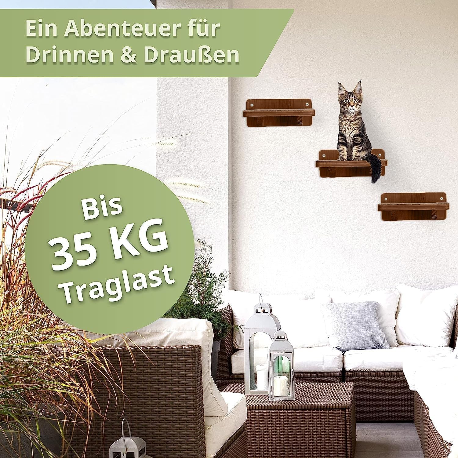 WOOWOOD Katzen-Wandkletterwand | 3-teiliges Katzenleiter-Set | Wandleitern für Katzen | Katzenkletterwand-Set | Katzenleiter | Wandklettern für Katzen | Katzenlaufsteg | Wandklettern für Katzen