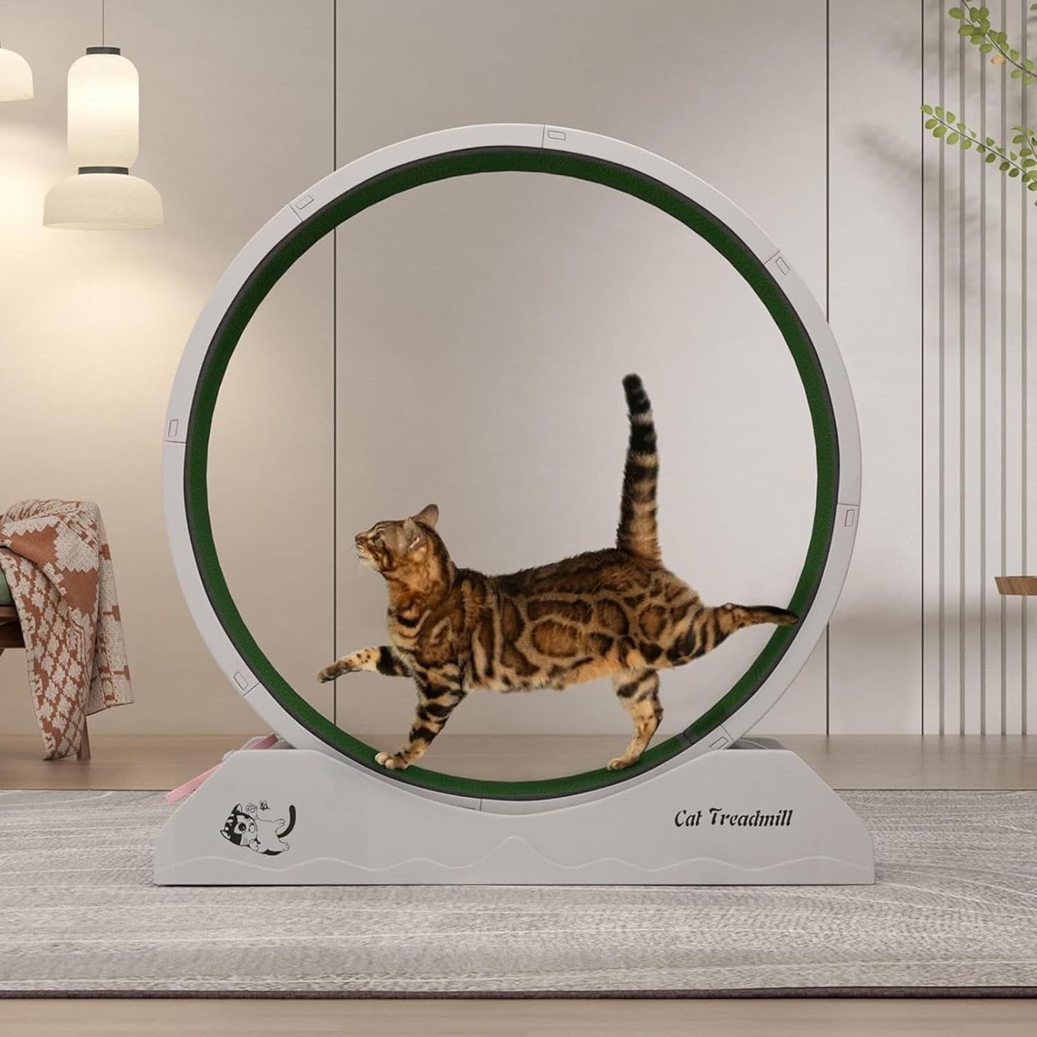 Eventerde Ruota per esercizi per gatti - Ruota per gatti | Attrezzatura da fitness per gattini | Ruota da corsa con teaser per gatti da interni per la perdita di peso, Tapis roulant per gattini a basso rumore