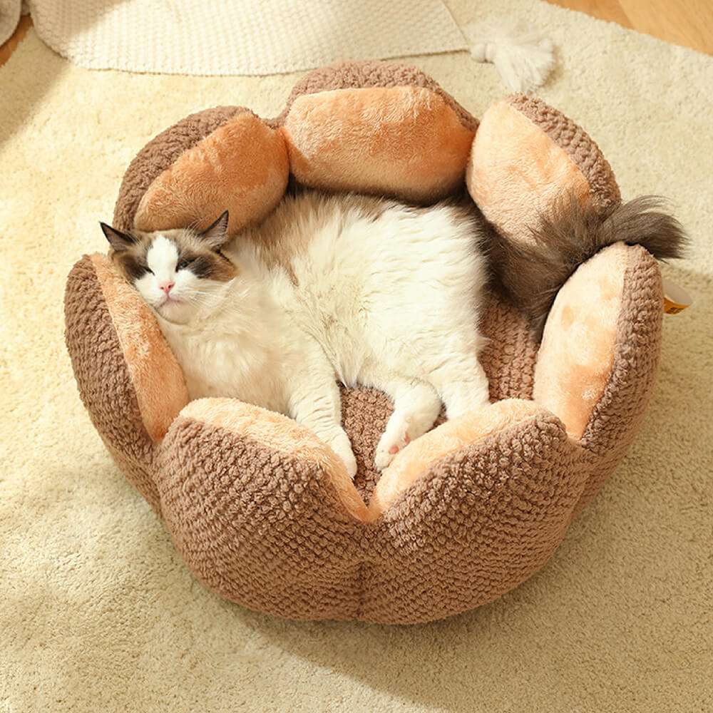 Il letto per animali domestici - Comoda cuccia per gatti a forma di cactus