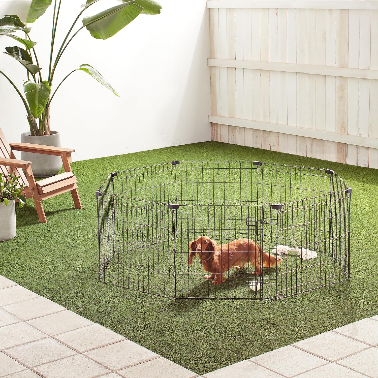 Amazon Basics - Achteckig, Laufgehege für Hunde und andere Haustiere, faltbar, Metall, mit Tür,122 cm, Schwarz