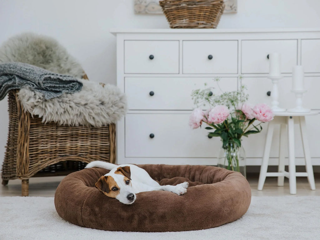 Cuccia Snuggle Silktouch
