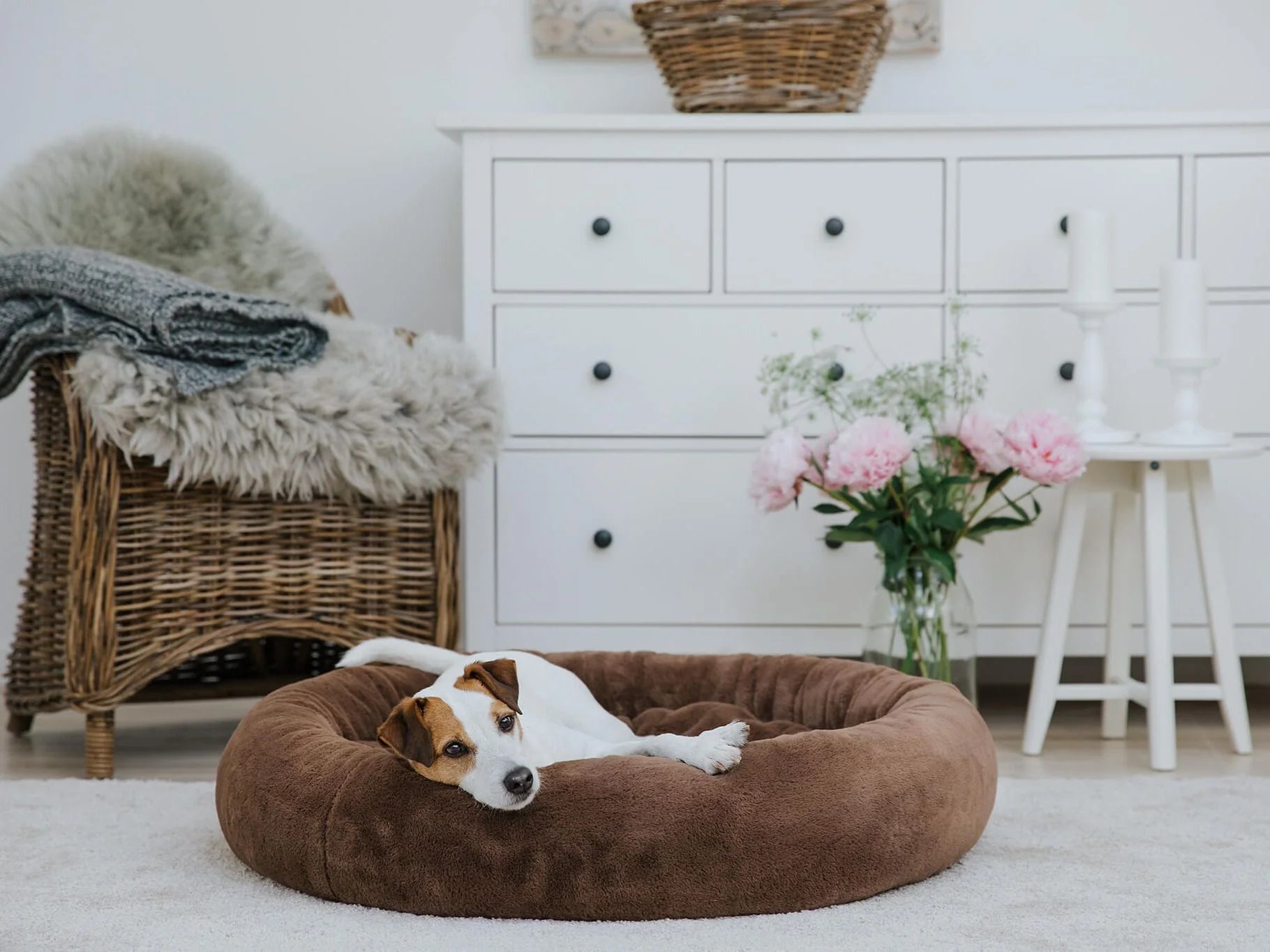 Cuccia Snuggle Silktouch
