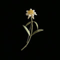 Spilla Edelweiss
