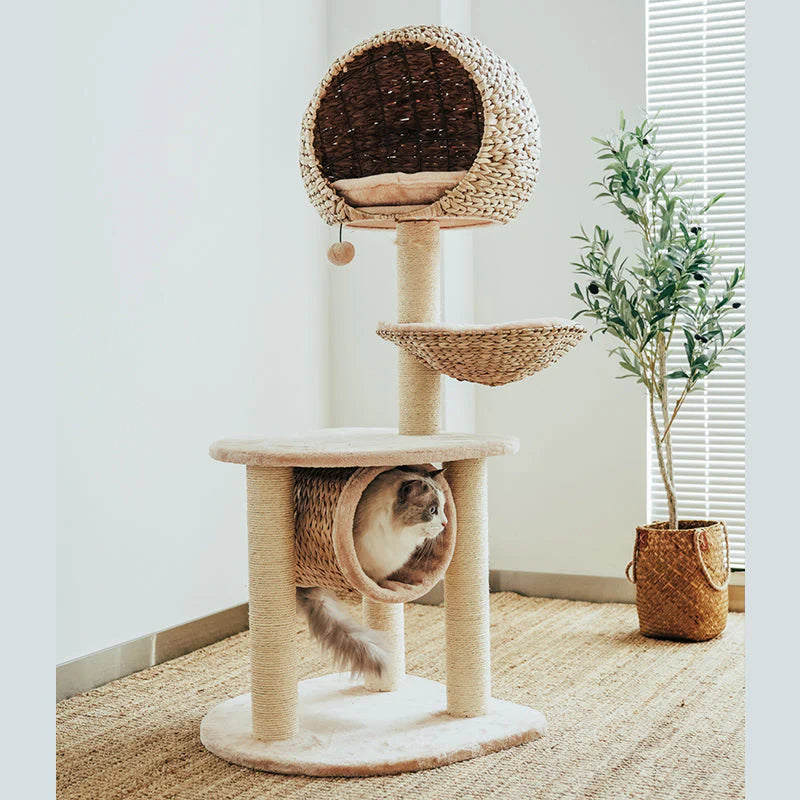 Vogelnest-Kratzbaum für Katzen – Der perfekte Ruhe- und Spielplatz für Ihre Katze