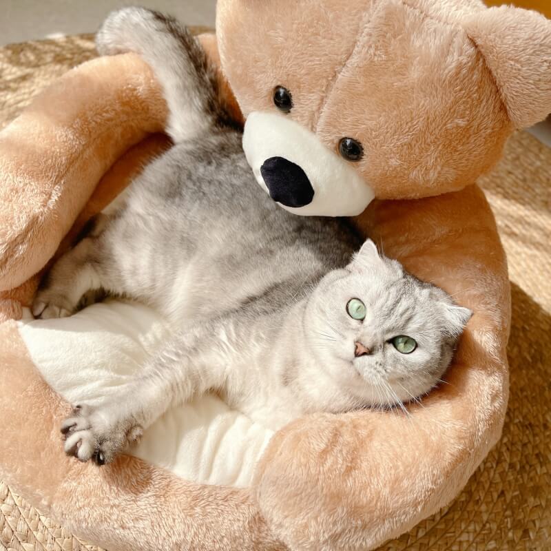 Sandy | Kuscheliges Hundebett in Teddyform