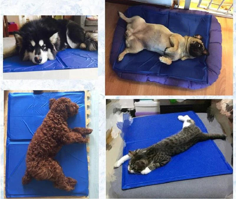 Kühlmatte für Katzen - Perfekte Sommerfrische für Ihre Katze
