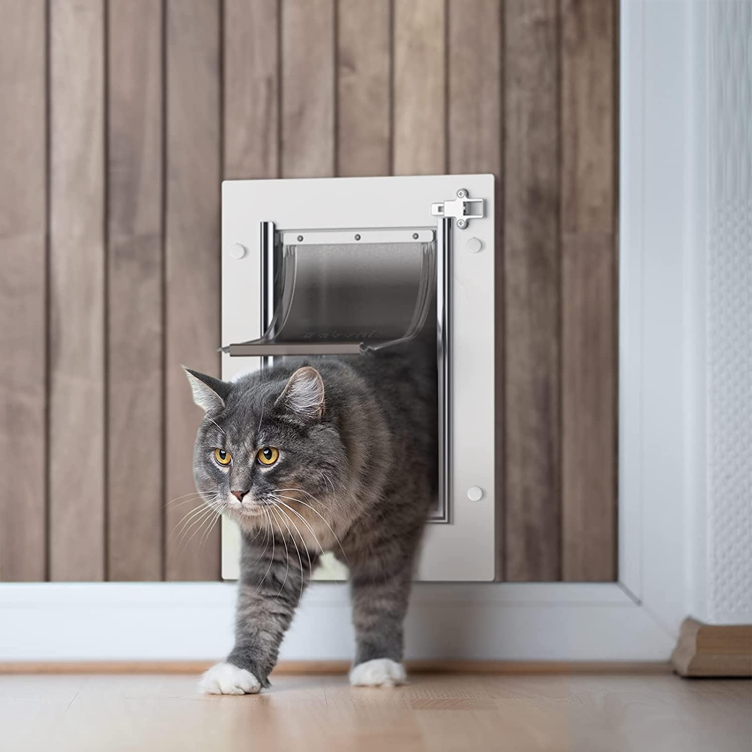 Baboni Katzentür für Tür, Wand, Stahlrahmen und Teleskop-Tunnel, Aluminiumschloss, Doppelklappe, Hunde- und Katzenklappe, stark und strapazierfhig, für Haustiere bis ca. 5,5 kg, Gre S