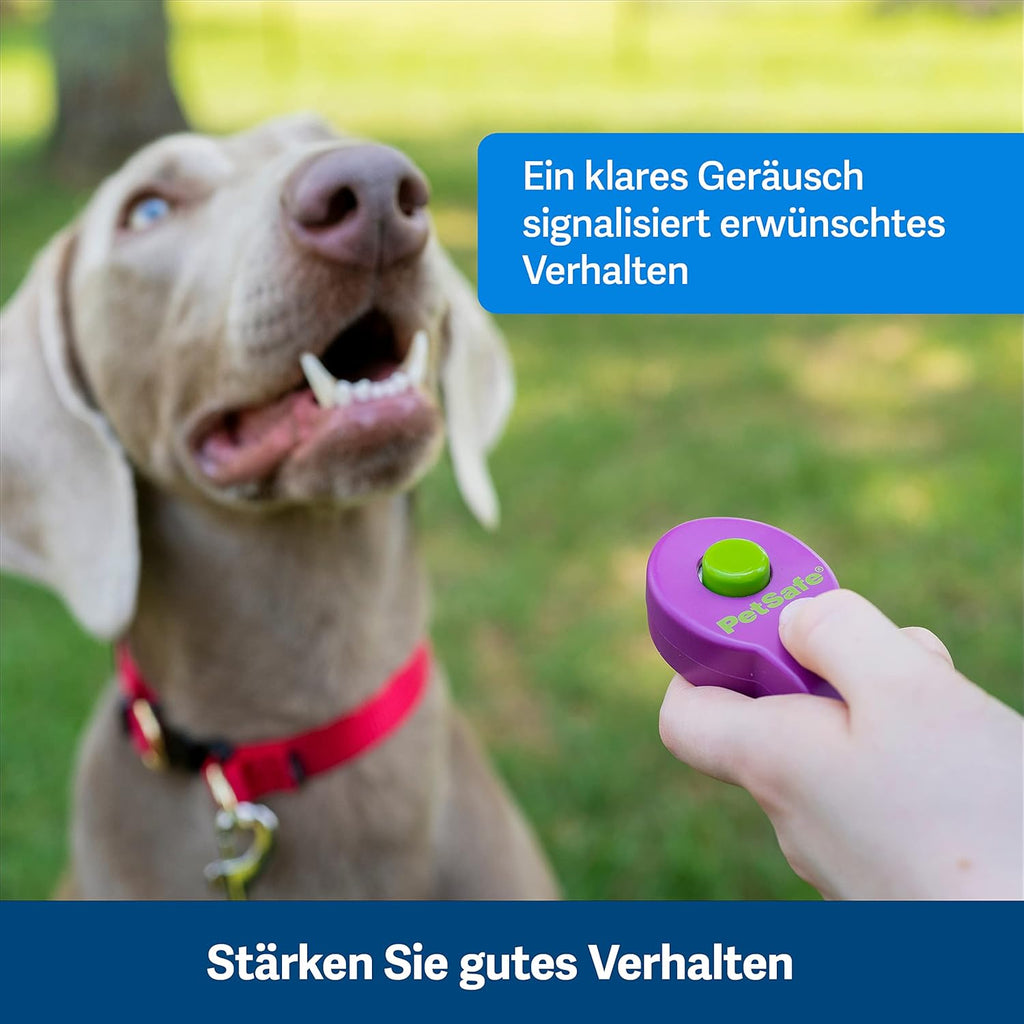PetSafe Teach and Treat, distributore di premi per addestramento cani, telecomandato, per addestramento e rinforzo positivo, richiede 4 batterie D, grigio
