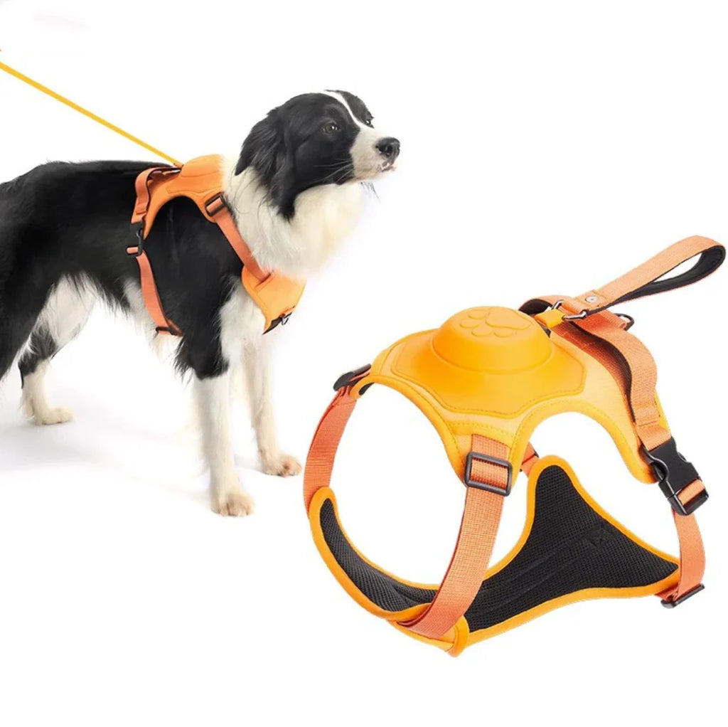 Imbracatura per cani con guinzaglio integrato: comfort e controllo in un'unica soluzione