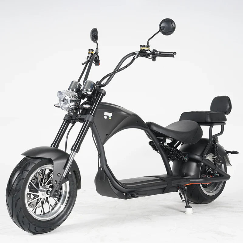 Mangosteen M1P Custom Sedile Posteriore – Seduta comoda per E-Chopper