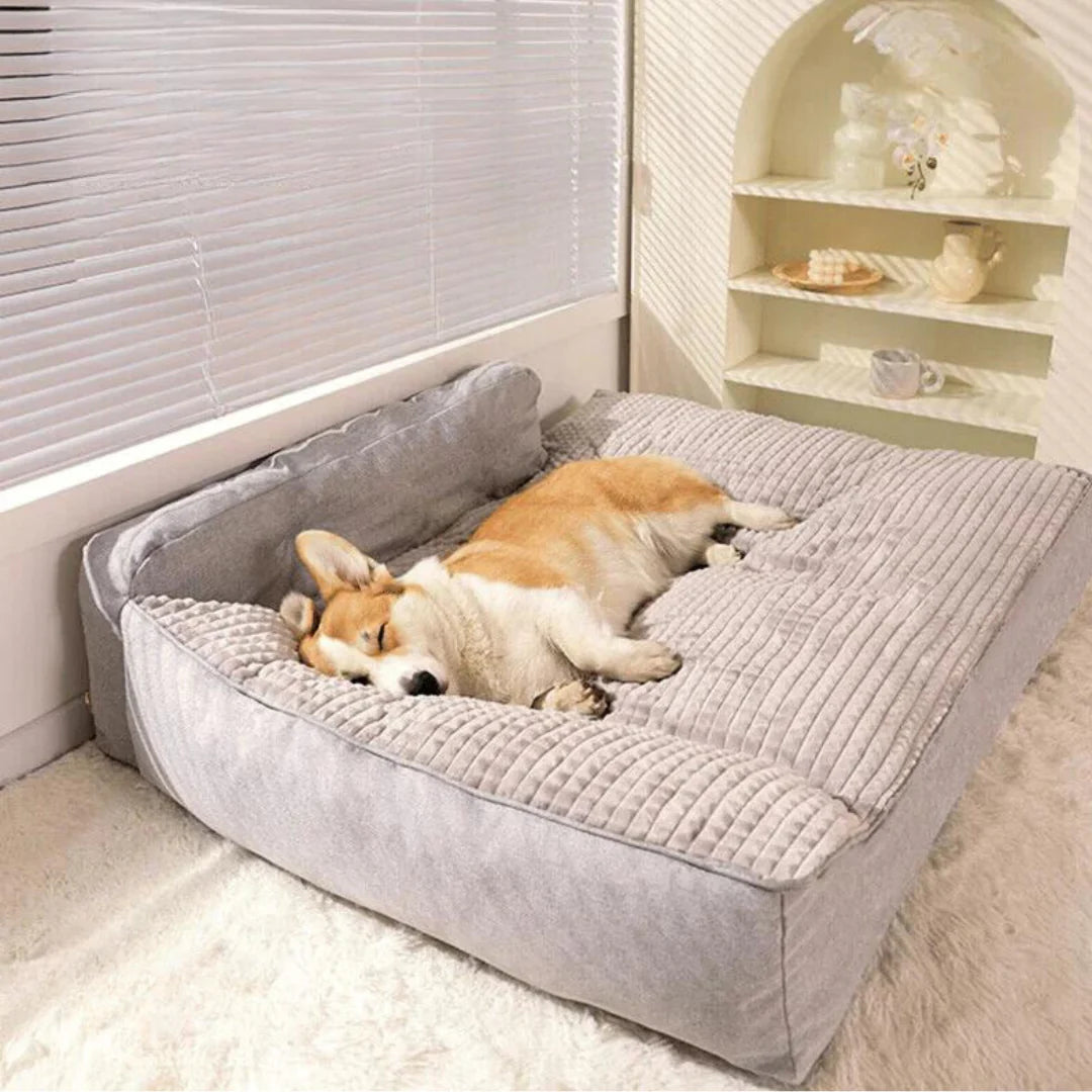 Tappetino premium per cani – Morbido, sfoderabile e lavabile – Perfetto per cani di ogni taglia
