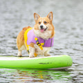 Verstellbare Schwimmweste für Hunde – Maximale Sicherheit im Wasser