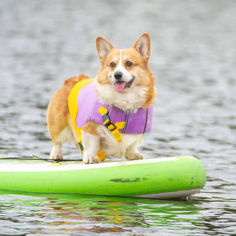 Verstellbare Schwimmweste für Hunde – Maximale Sicherheit im Wasser