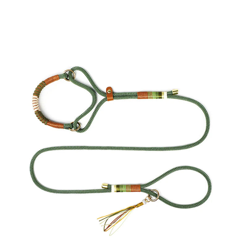 Guinzaglio da addestramento intrecciato – Soluzione tutto in uno per cani