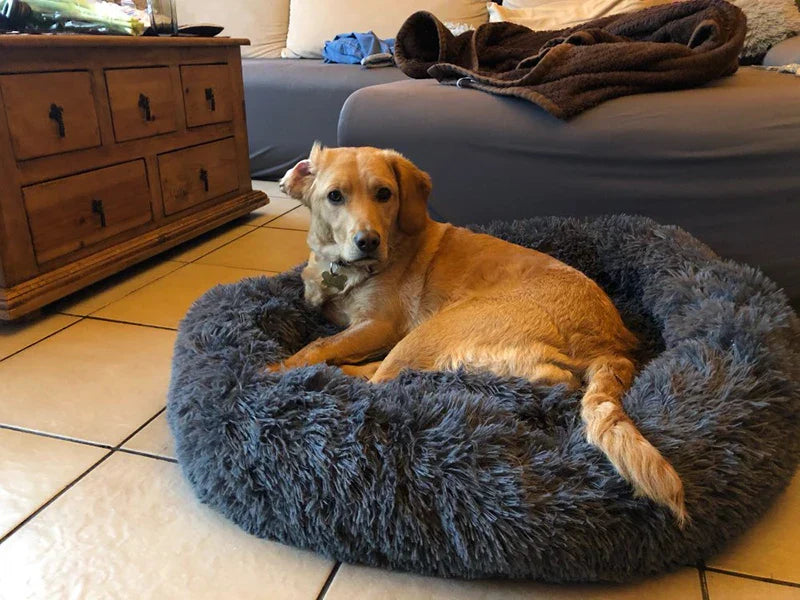 Cuccia per Cani Luna Soffice e Calmante - Cuscino Rotondo per Cani Piccoli, Medi e Grandi