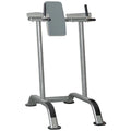Impulse Vertical Knee Raise (Dip-Stnder)