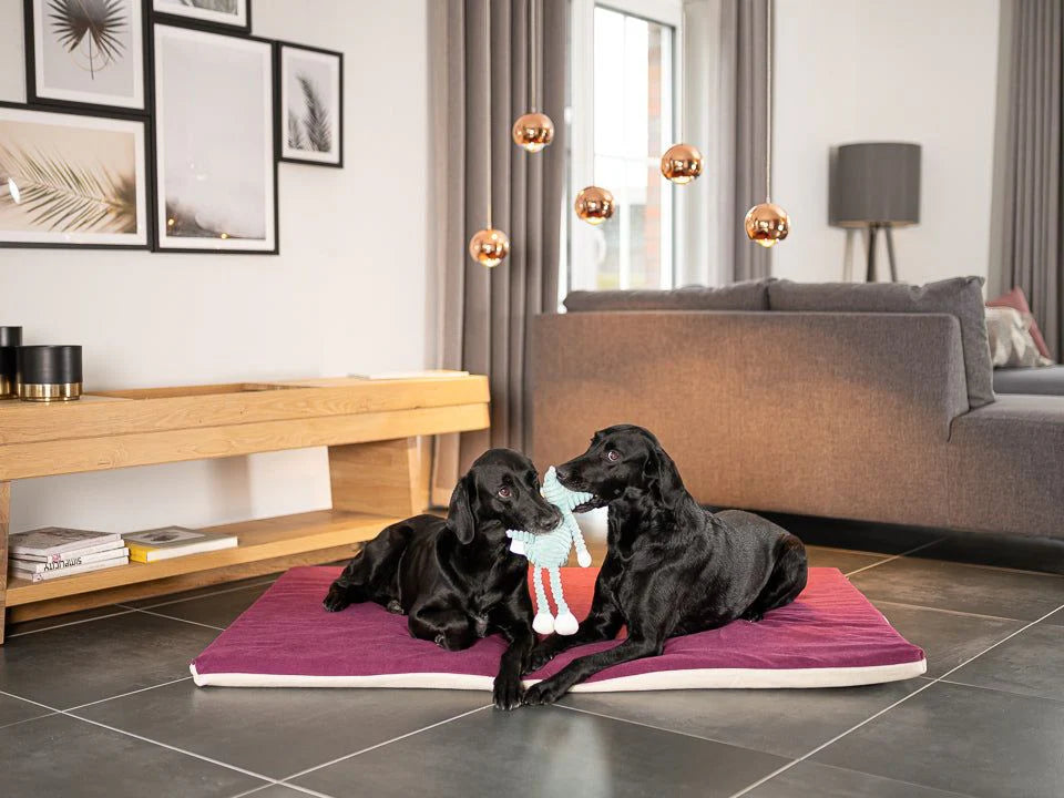 Tappeto per cani Jokkmokk Alltid