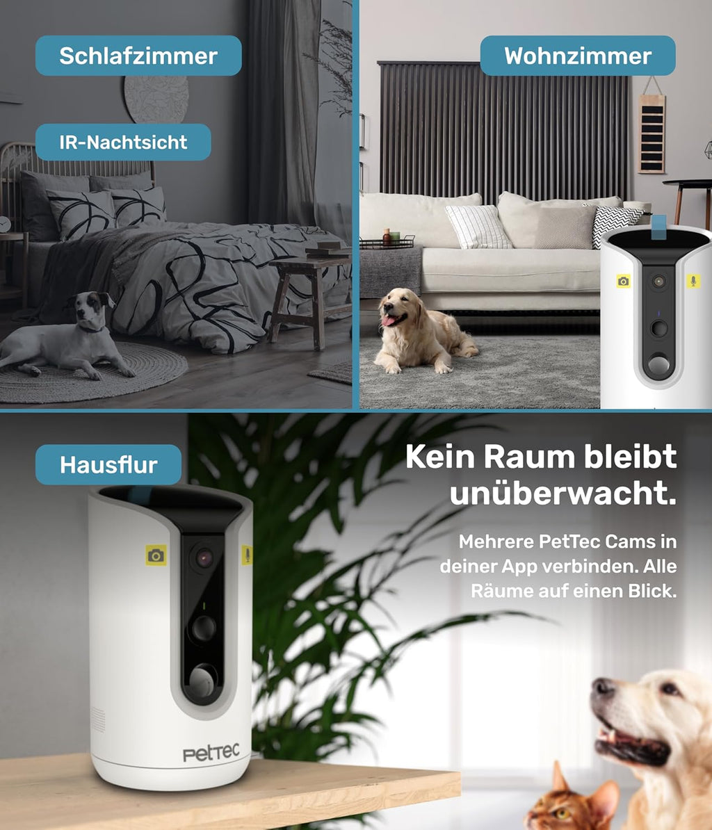 PetTec – Pet Cam Buddy Haustierkamera Futterautomat 8L für Katzen- & Hunde-Trockenfutter – Automatischer Futterspender mit WLAN & App-Steuerung -Inkl. 2-Wege-Audio, Bellerkennung & Nachtsicht