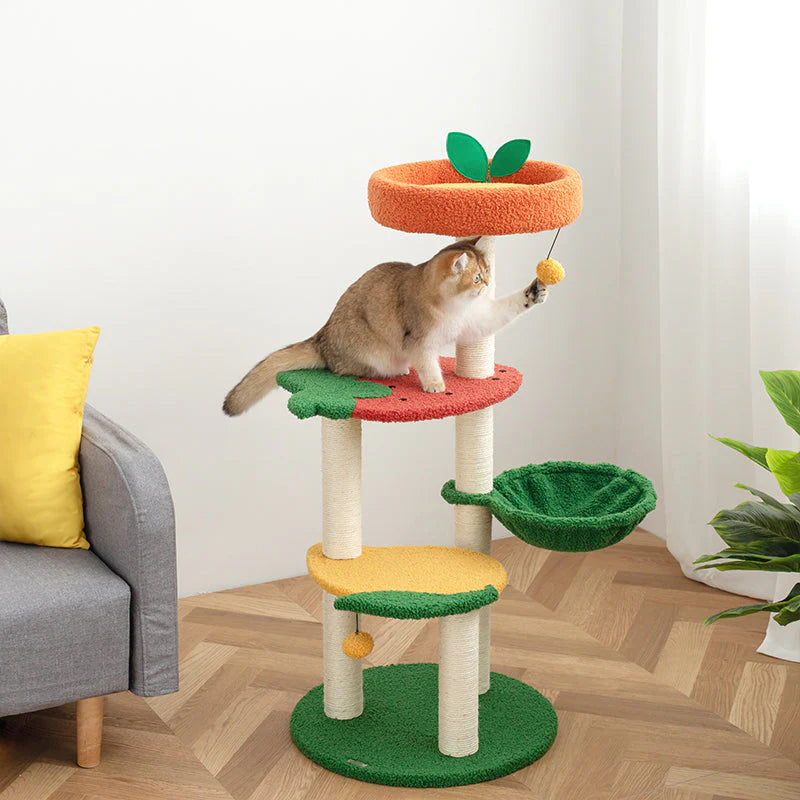 Albero Tiragraffi "Mondo della Frutta" – Un Paradiso per Gatti Giocherelloni