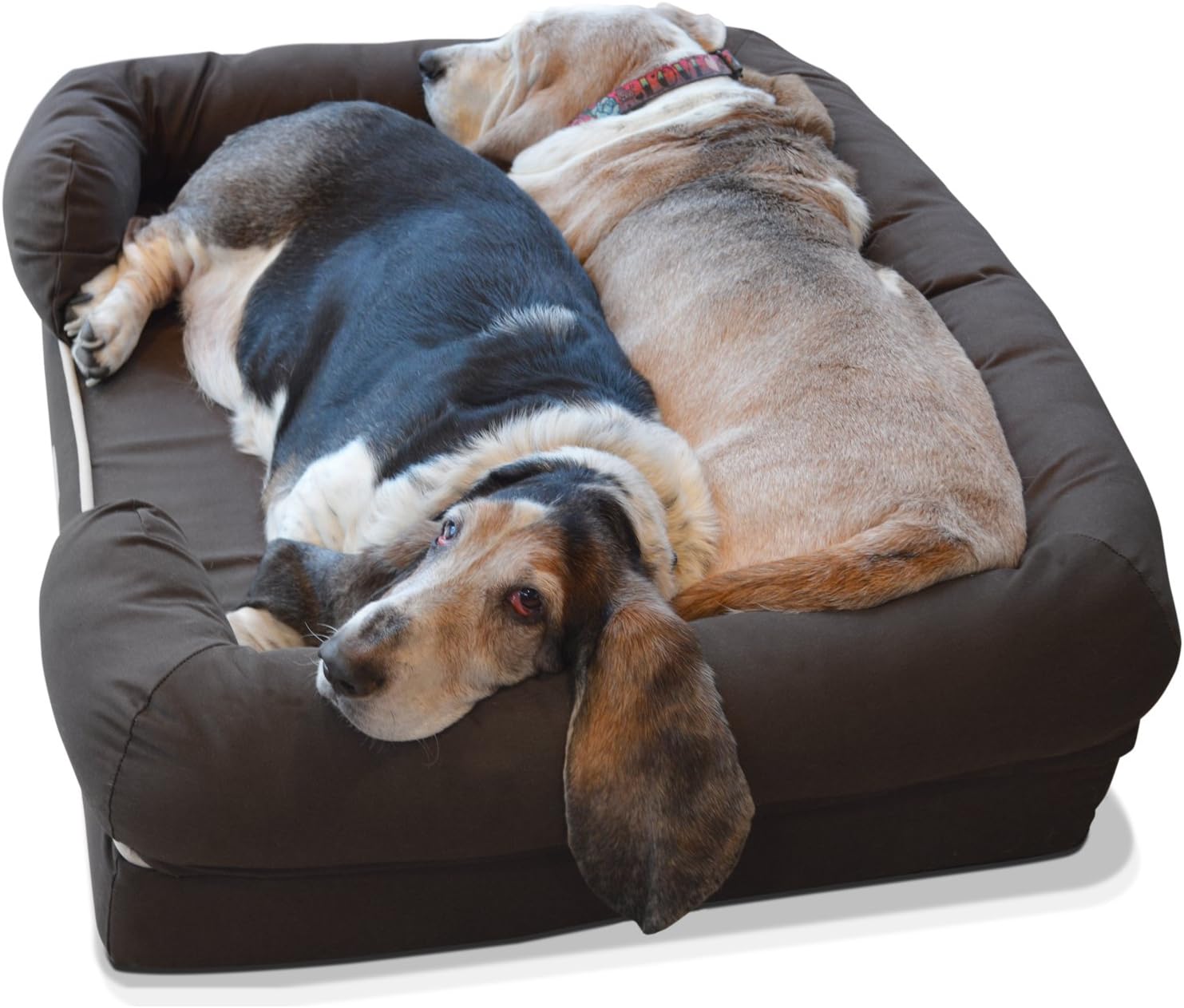PetFusion Large per cani/gatti con memory foam solido di 10 cm, fodera impermeabile e cerniere YKK di alta qualità, miscela di cotone traspirante, rimovibile e facile da pulire, S