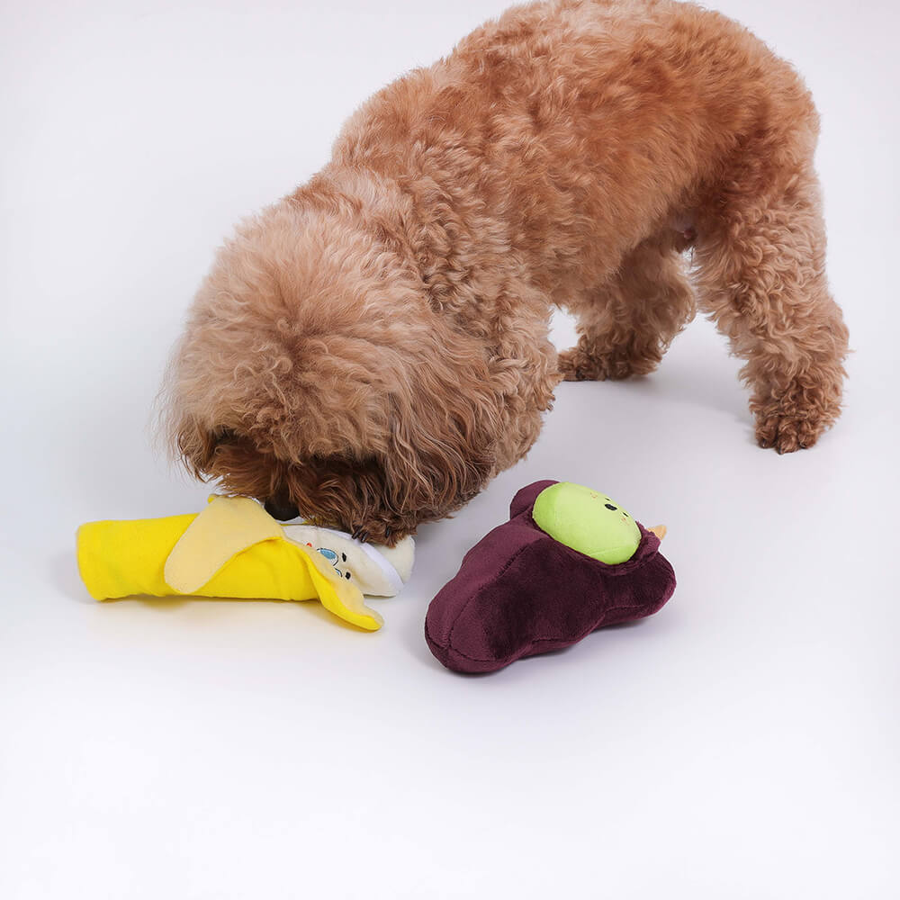 Quietschspa Hundespielzeug-Set – Interaktive Plüsch-Leckereien und Kaue-Spa