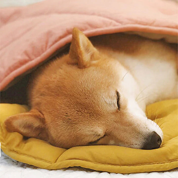 Pip | Coperta soffice per cani