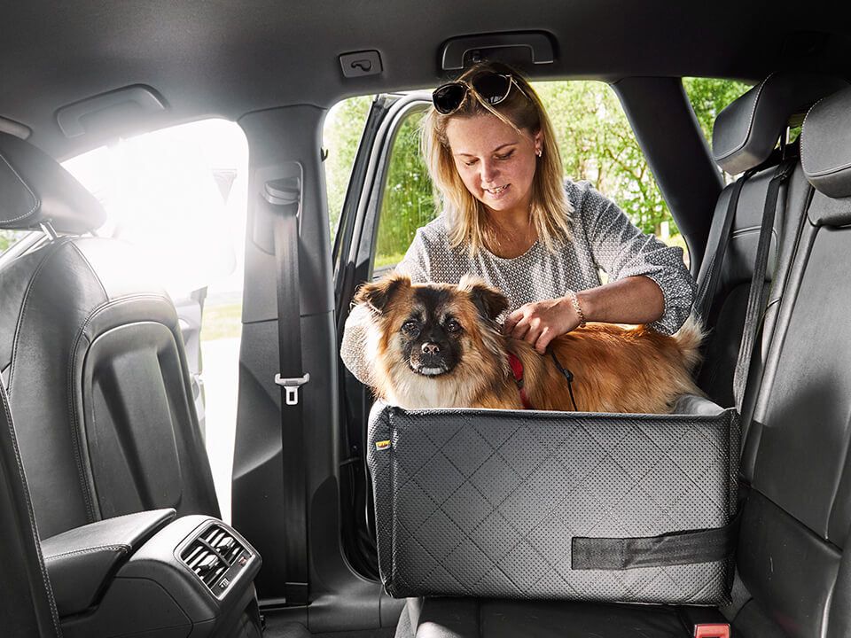 Hunde Autositz Rida