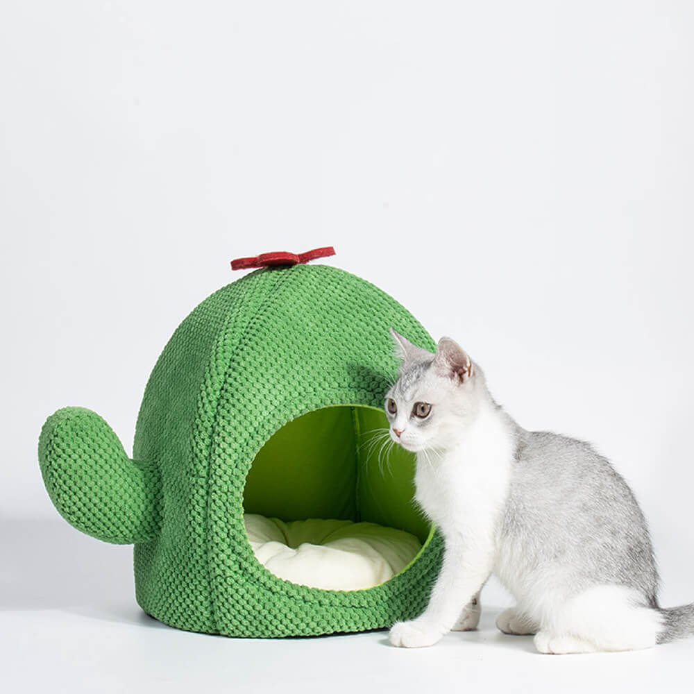 KatzenOase – Cestino a forma di cactus per ore di sonno accoglienti per i gatti