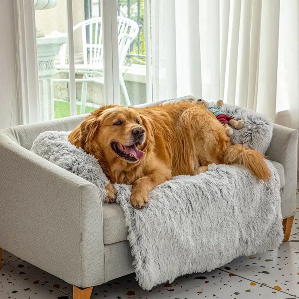 Kuscheliges Hunde-Sofabett Wolkenparadies – Wasserdicht, leicht waschbar & komfortabel