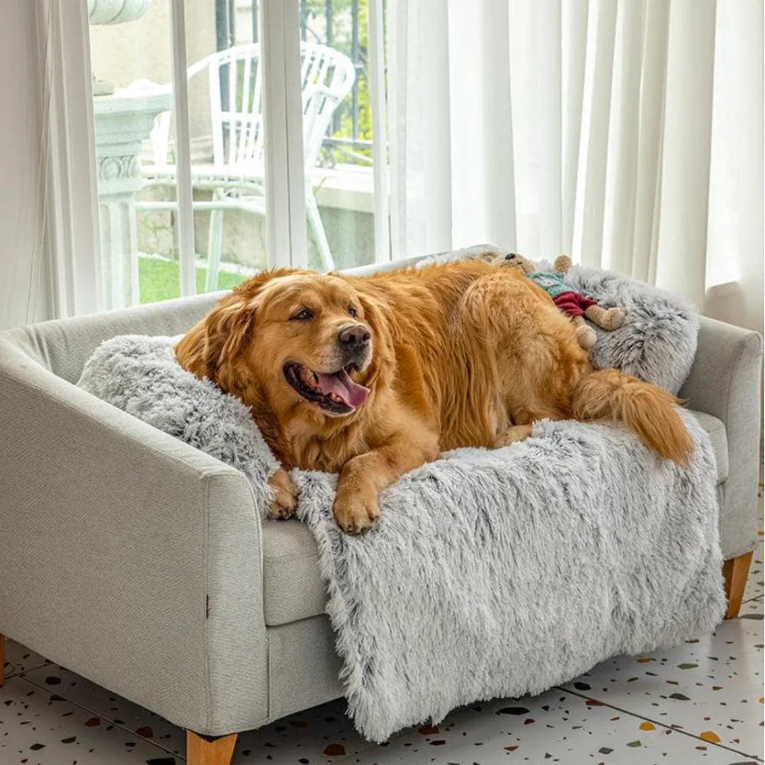 Kuscheliges Hunde-Sofabett Wolkenparadies – Wasserdicht, leicht waschbar & komfortabel