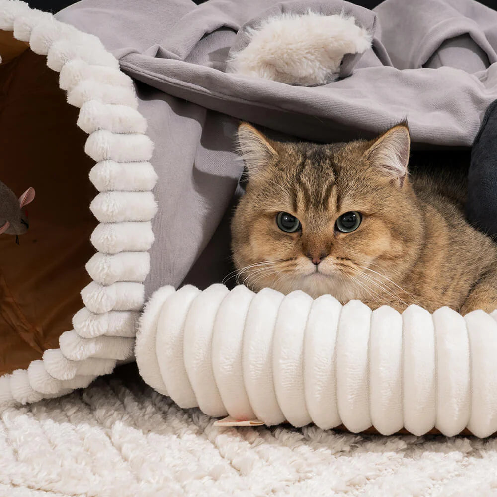 Faltbarer ComfyCat-Tunnel – Kuscheliges 2-in-1 Bett für drinnen