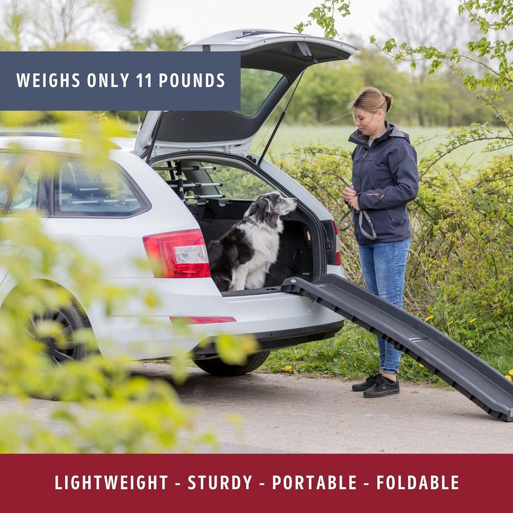 Trixie 3939 Rampa Pieghevole Petwalk, 40 × 156 cm, 4,5 kg, nera