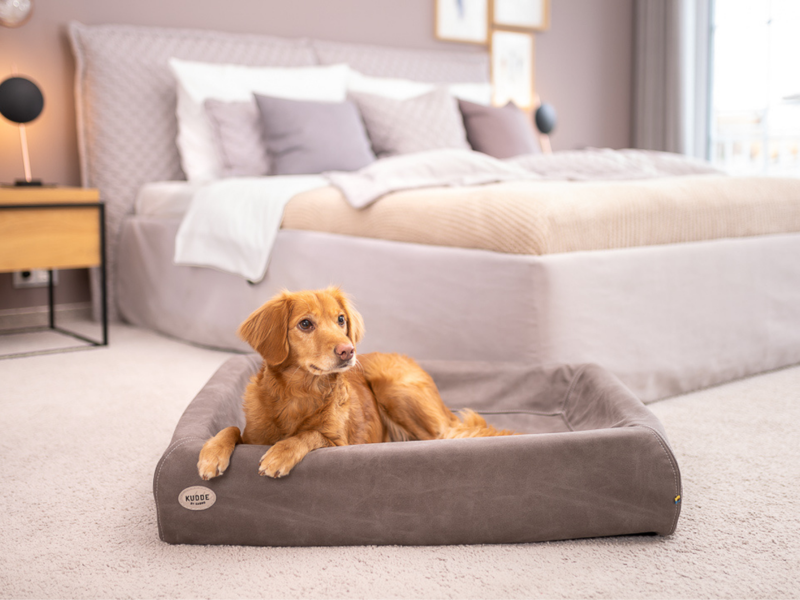 Hundebett KUDDE Wildlederoptik