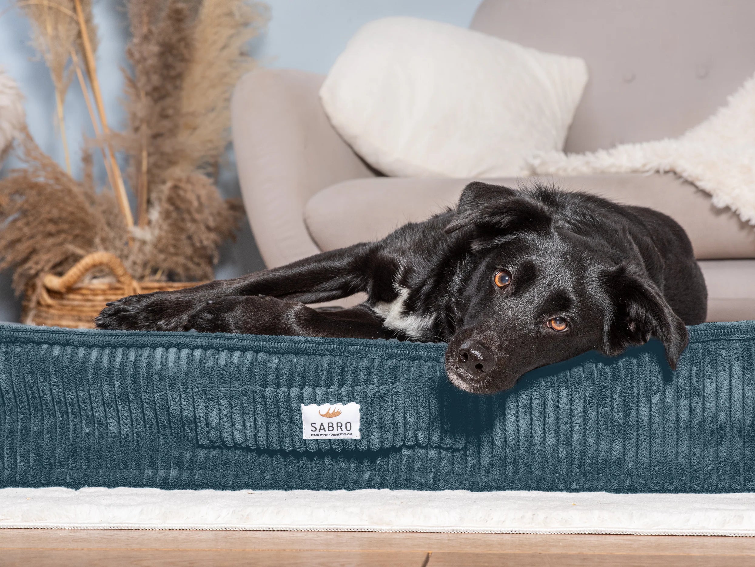 Cuscino per cani Sova