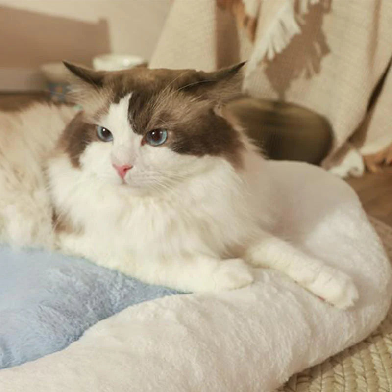 DreamNest – Luxus-Schlafkissenbett für Katzen und Hunde