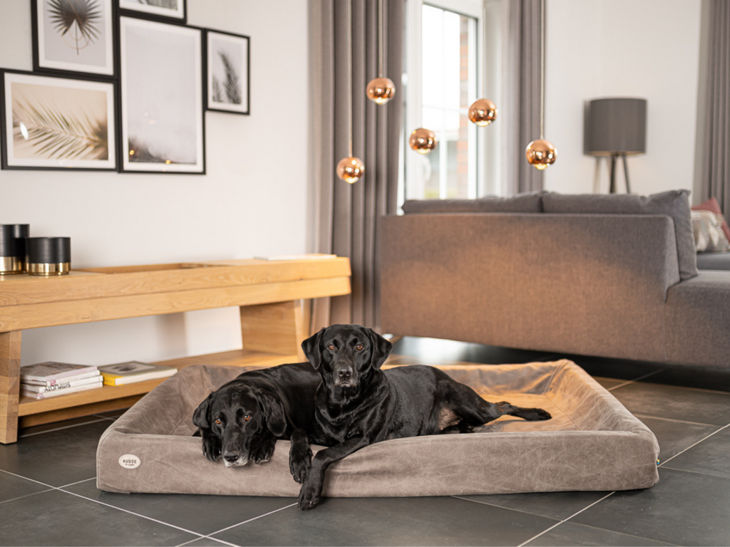 Hundebett KUDDE Wildlederoptik
