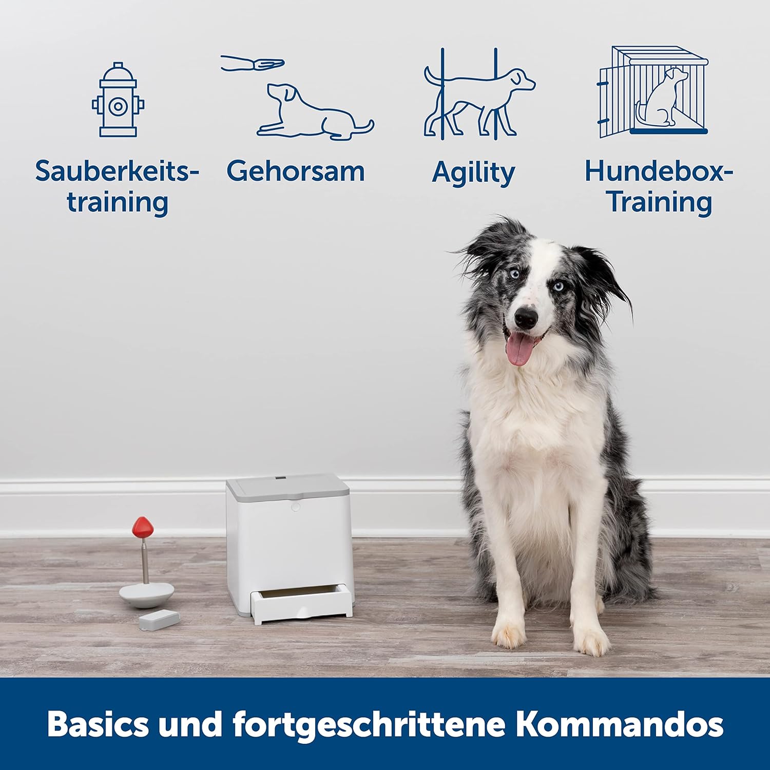 PetSafe Teach and Treat, distributore di premi per addestramento cani, telecomandato, per addestramento e rinforzo positivo, richiede 4 batterie D, grigio