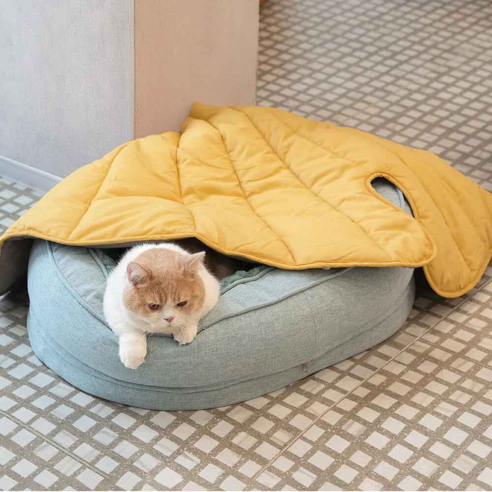 Donut Kuscheliges Orthopdisches Hundebett