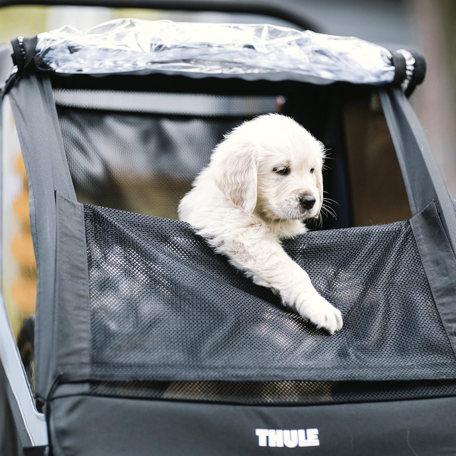 Rimorchio per bicicletta Thule Courier Dog, Rimorchio per bicicletta per 2 bambini blu egeo taglia unica