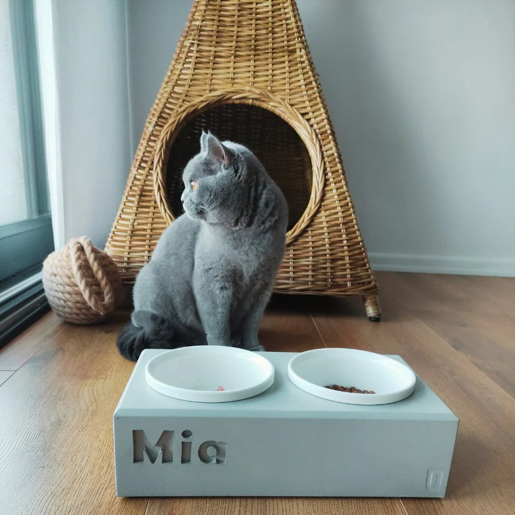 Mangiatoia per Gatti PATERA DUO Personalizzata