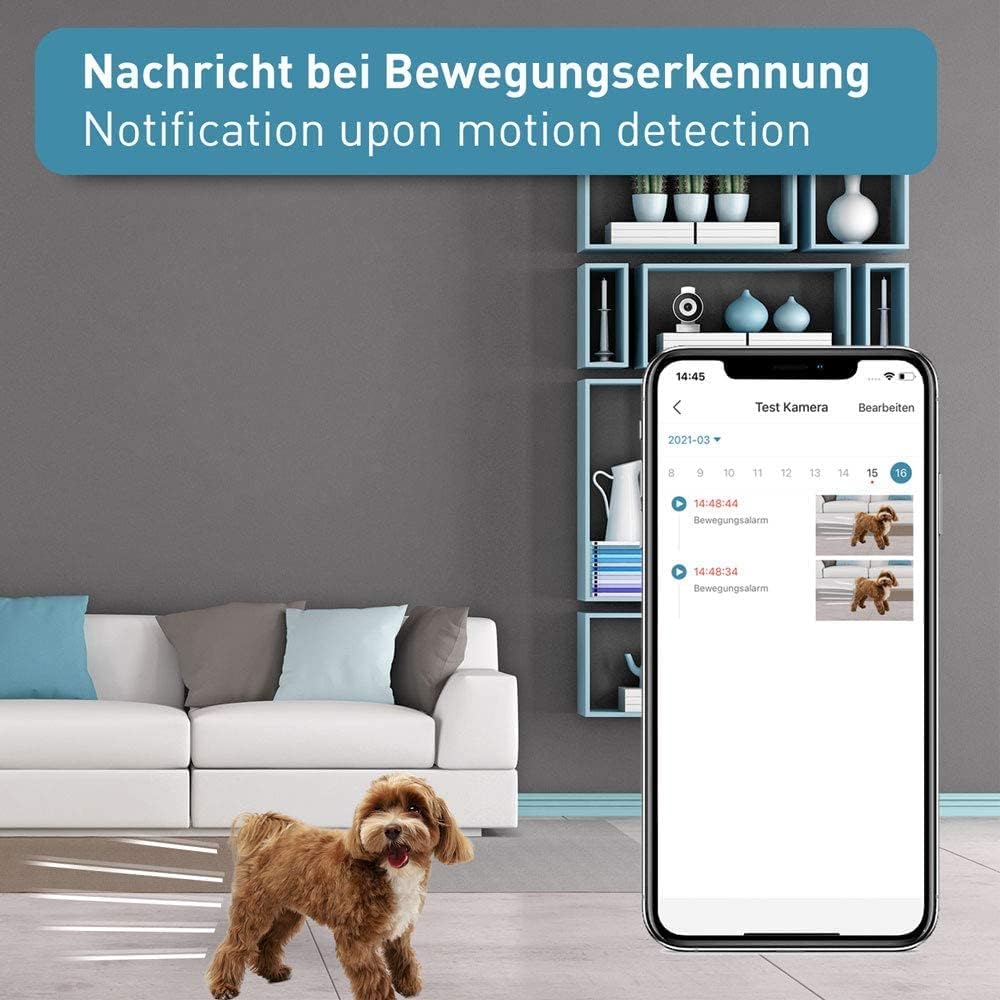 PetTec – Pet Cam Buddy Haustierkamera Futterautomat 8L für Katzen- & Hunde-Trockenfutter – Automatischer Futterspender mit WLAN & App-Steuerung -Inkl. 2-Wege-Audio, Bellerkennung & Nachtsicht