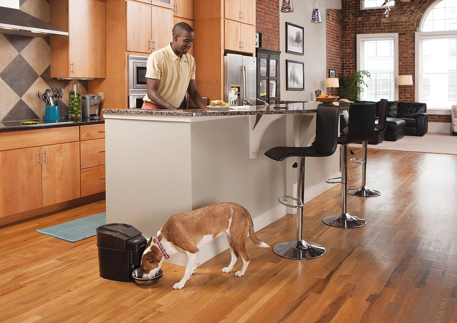 PetSafe Smart Feed Distributore Automatico di Cibo, con Controllo da Smartphone tramite App, Adatto per Cibo Secco, Capacità 1,5 L, Nero, Grigio