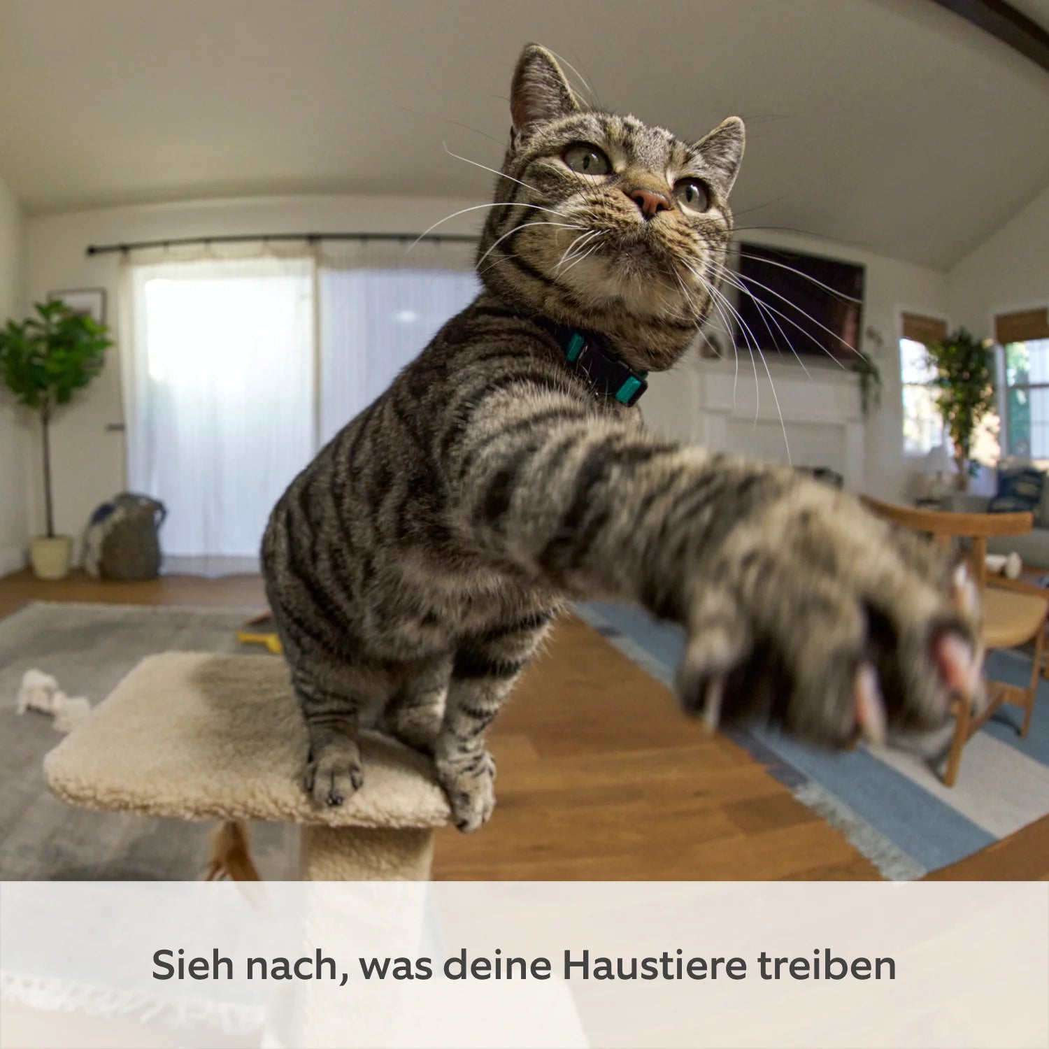 Bewegliche Innenkamera (Pan-Tilt Indoor Camera)
