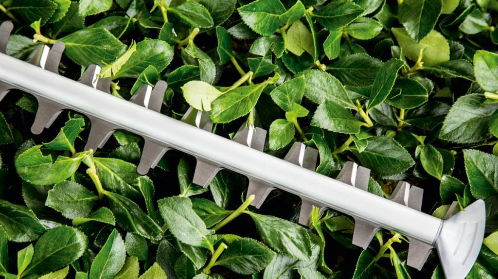 Bosch Heckenschere UniversalHedgeCut 60 (480 Watt, Messerlänge: 60 cm, für mittelgroße Hecken, Messerabstand: 30 mm, im Karton)