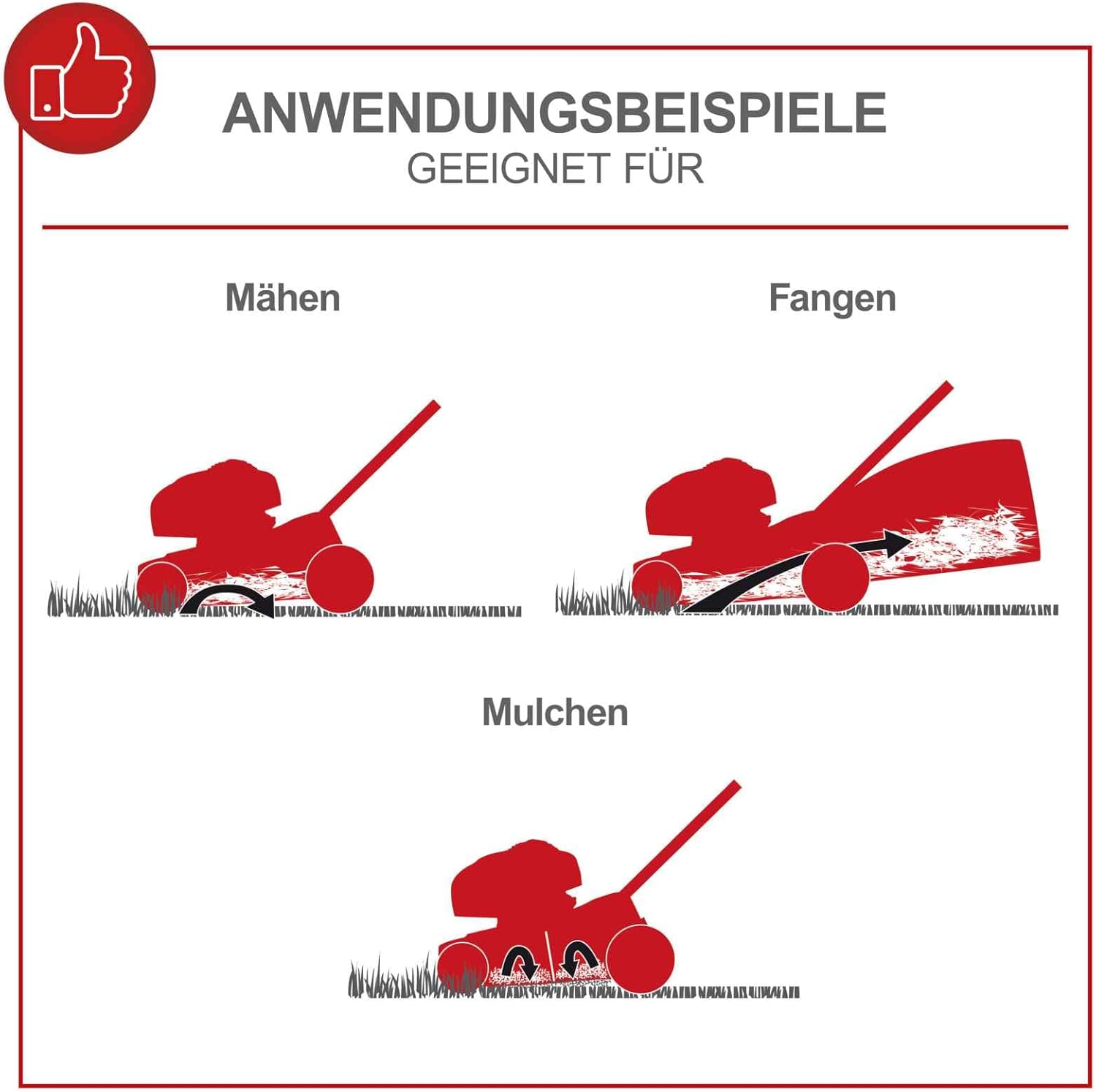 Scheppach Tosaerba a Benzina MS150-42 - 3,5 CV | Larghezza di Taglio 42cm | Trazione | Scocca in Acciaio | Funzione di Pulizia | Funzione Mulching | Sacco di Raccolta 45 Litri | Regolazione Altezza in 7 Posizioni (25-75mm)